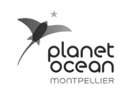 Planet Ocean